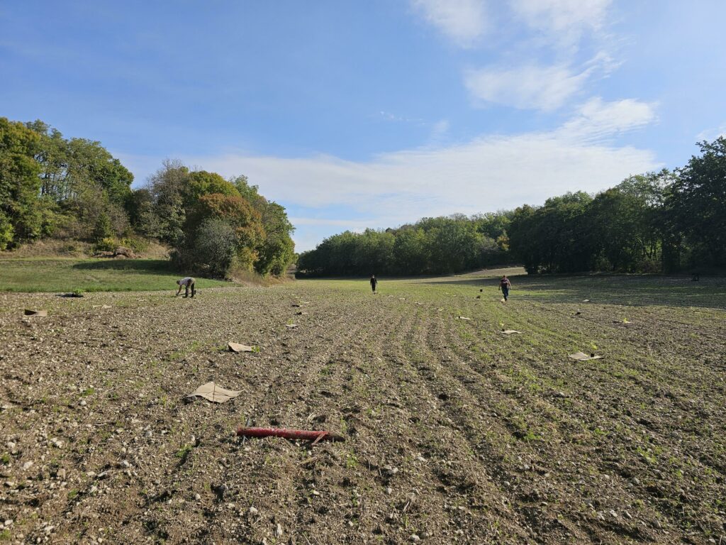 photo d'une partie du terrain de Saint-Perdoux